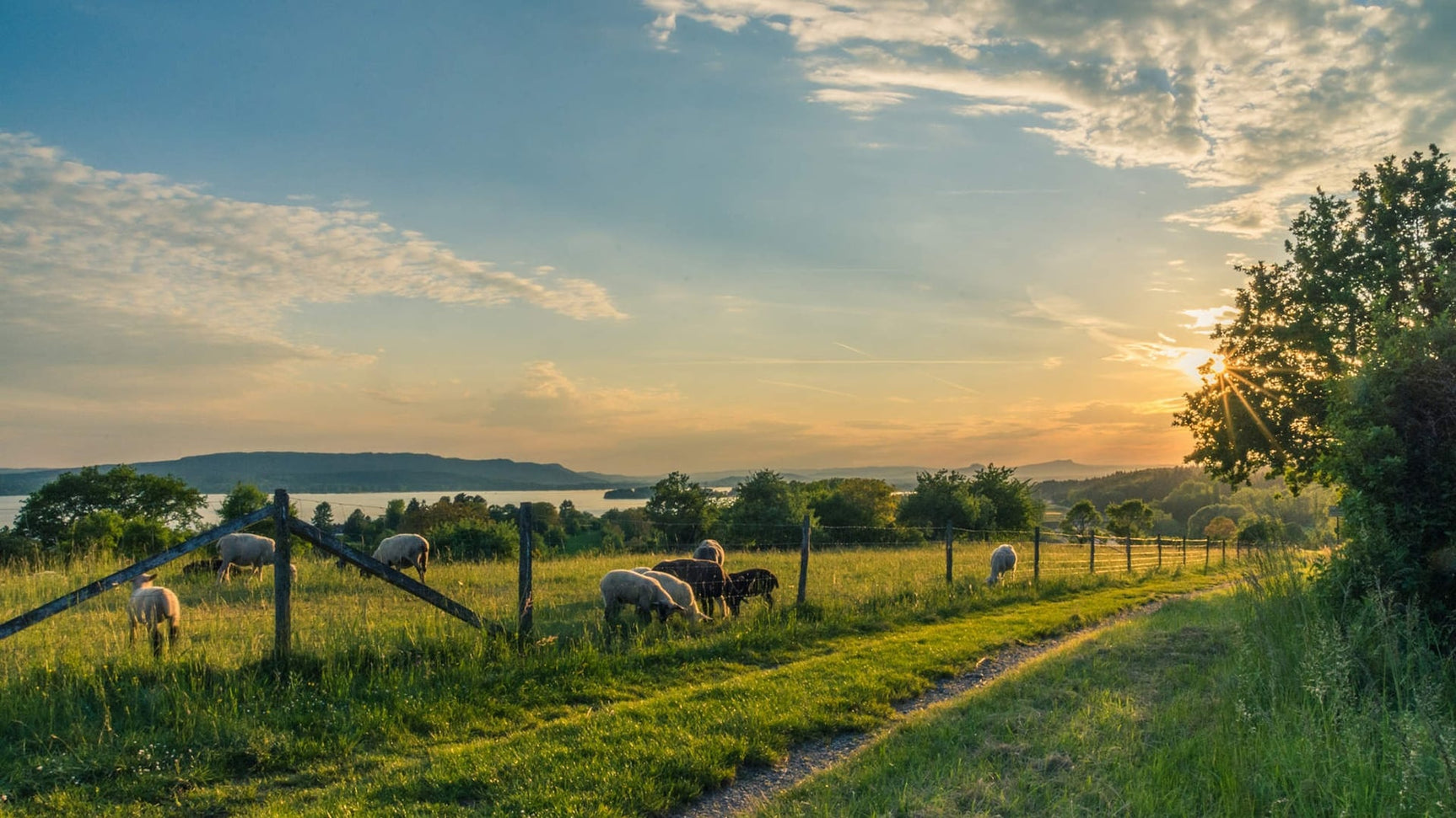 Weekendje in de natuur